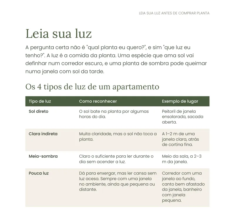Trecho do e-book com a tabela dos 4 tipos de luz de um apartamento